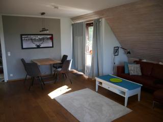 Ferienwohnung im Schwarzwald - Unterkirnach - 1