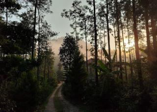 Vishwas Homestay - Mountain view and trekking - Vastāra - 7