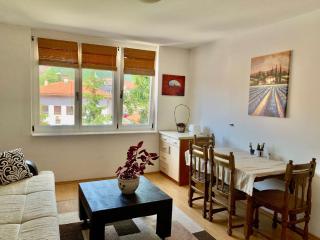 Comfortable 1BDR in City Center - Free Parking - Sarajevo - 2