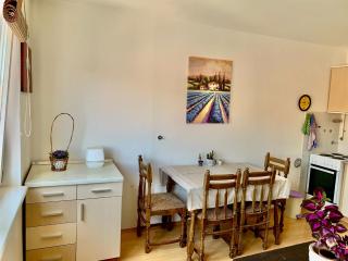 Comfortable 1BDR in City Center - Free Parking - Sarajevo - 4