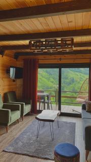 Holiday Suite Bungalow - Çamlıhemşin - 1