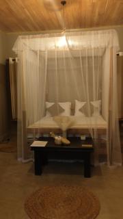 Ginger Harmony Guesthouse and Cafe - Tangalle - 4