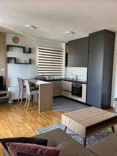 Ilidža Tower Sapphire Suites - Sarajevo - 6