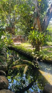 Anniwatta Residence - Kandy - 9