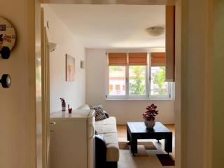 Comfortable 1BDR in City Center - Free Parking - Sarajevo - 1