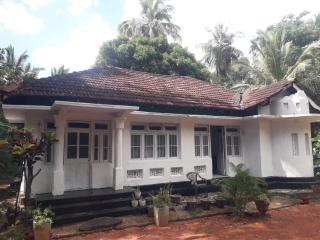 Dambulla Old Homestay - Dambulla - 4