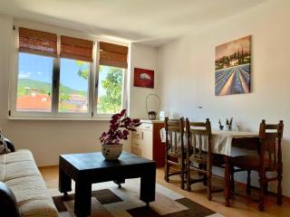 Comfortable 1BDR in City Center - Free Parking - Sarajevo - 8