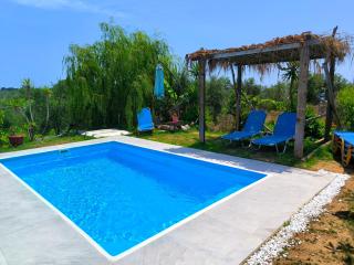 Olive and Blue Retreat - Halikounas - 9