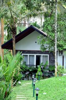 Snow white resort wayanad - Wayanad - 6