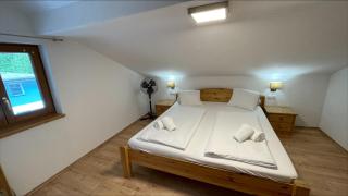 Apartments Garden House - Niedernsill - 9