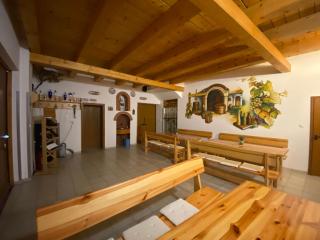 Penzion u Šomanů - Dolní Dunajovice - 6