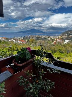 Casa Silvana - Vico Equense - 3