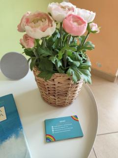 Rainbow Seafront Apartment - 9