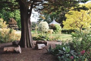 The Heart of Whitstable - Whitstable - 3