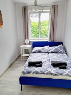 Apartament w Gdyni przy lesie - Gdynia - 6