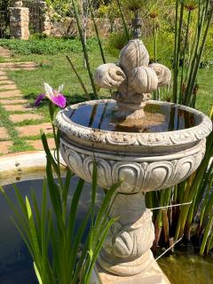 Mater Familias Oasis - Syracuse - 5