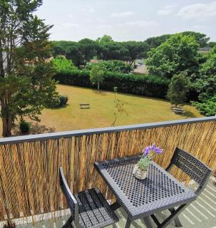 Appartement Biscarrosse - Centre-ville, terrasse, au calme - agréable, tout confort - 4pers - 0