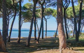 Cozy Home In Campiglia Marittima - 3