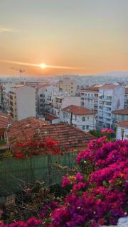 Paradis su Terre - Nice - 1