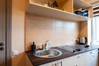 Small Studio Apartment - Kaunas - 6