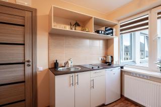 Small Studio Apartment - Kaunas - 7