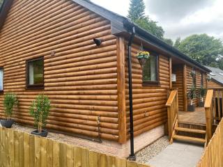 Blairgowrie Luxury 3 Bed Lodge with Hot Tub - Blairgowrie - 4