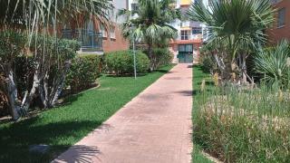 Apartamento con Piscina en la Playa de Gandia - Gandía - 9