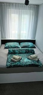 APARTAMENT CHEŁMSKO - rowery gratis - Chełmsko Śląskie - 3