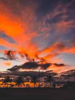 Ocean Haven Himandhoo - Himandhoo - 7