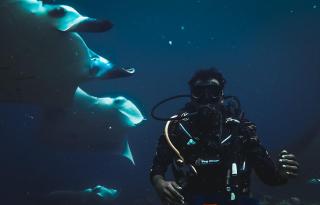 Ocean Haven Himandhoo - Himandhoo - 2