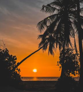 Ocean Haven Himandhoo - Himandhoo - 1