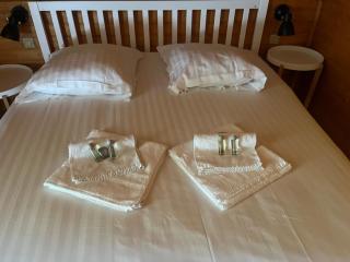 Le Chalet des Pins - 1