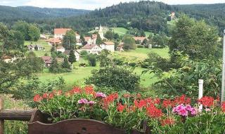 Gite panoramique et Spa de Liézey Les Jonquilles - Liézey - 3