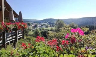 Gite panoramique et Spa de Liézey Les Jonquilles - 3
