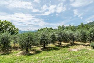 Villa Nilla - Enchanting Villa on the Hills - San Martino - 5