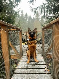 Treehouse Bystreečka - 1