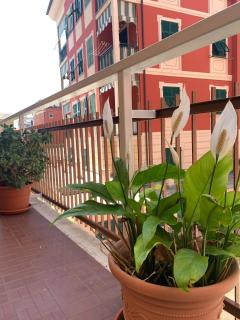 The Riviera Apartment - 3
