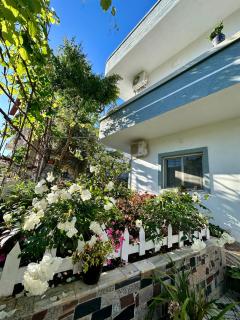 Chris apartment - Saranda - 0