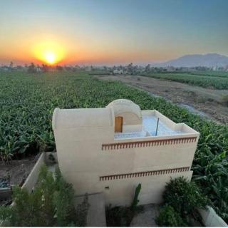 Lady of the Sun Guesthouse - Luxor - 8