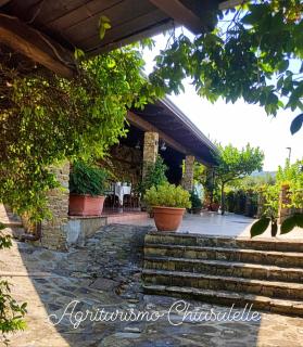 Agriturismo Chiusulelle - Ogliastro Cilento - 5