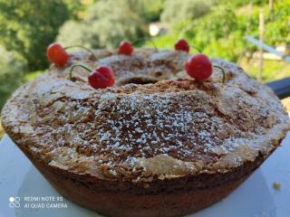 Agriturismo Chiusulelle - Ogliastro Cilento - 4