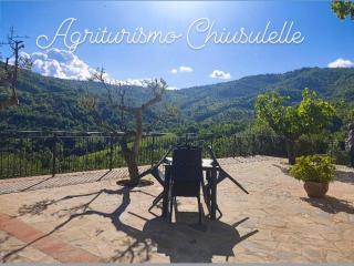 Agriturismo Chiusulelle - Ogliastro Cilento - 1