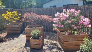 Zwijntje I Nice chalet with floral garden - Putten - 6