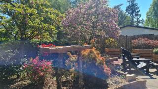 Zwijntje I Nice chalet with floral garden - 5