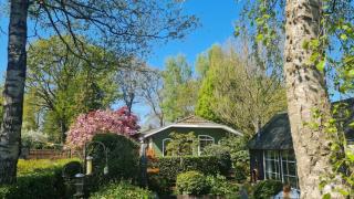 Zwijntje I Nice chalet with floral garden - Putten - 2