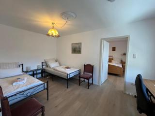 DG Ferienwohnung TLA Ramstein - Ramstein-Miesenbach - 2
