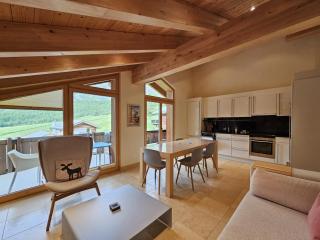 Aramis Dachwohnung 4 - Saas-Fee - 9