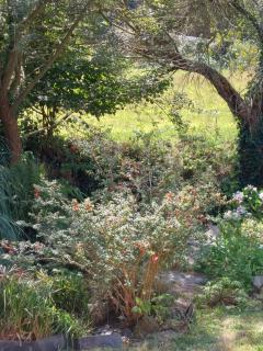 Le chalet Martin - 400 mètres de la plage - Plérin - 2