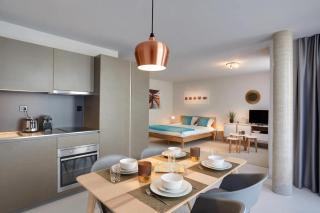 Contemporary Cosy Central Studio in Nyon - RM8 - Nyon - 8