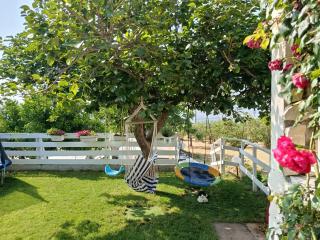 Casa vacanze Arcobaleno - Santa Maria Imbaro - 5